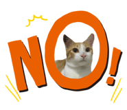 209224088