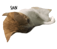 209224090