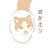 209290767