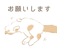209290772
