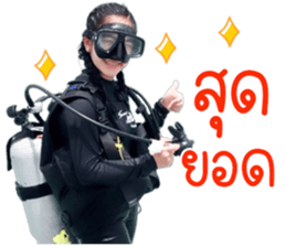 209595338