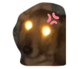 209775250