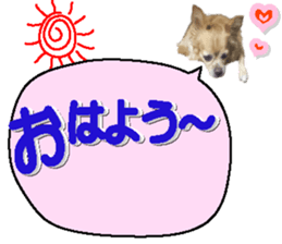 209777438