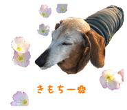 21015739