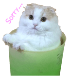 21015774