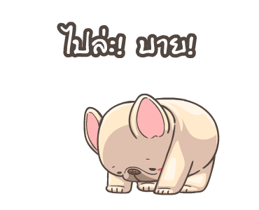 พิกุ - เฟรนช์ บูลด็อก 9 รูปที่ 2