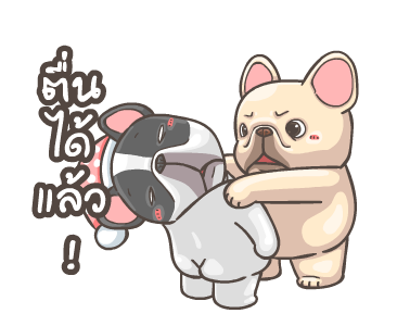 พิกุ - เฟรนช์ บูลด็อก 9 รูปที่ 3