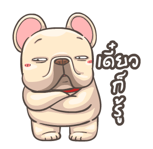 พิกุ - เฟรนช์ บูลด็อก 9 รูปที่ 6