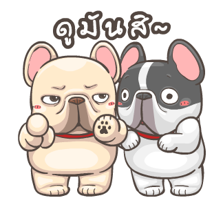 พิกุ - เฟรนช์ บูลด็อก 9 รูปที่ 7