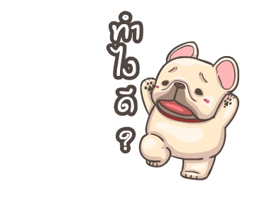 พิกุ - เฟรนช์ บูลด็อก 9 รูปที่ 9