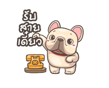 พิกุ - เฟรนช์ บูลด็อก 9 รูปที่ 11