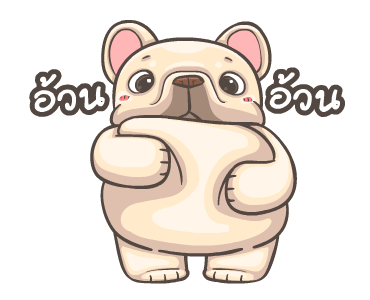 พิกุ - เฟรนช์ บูลด็อก 9 รูปที่ 12