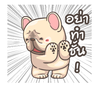 พิกุ - เฟรนช์ บูลด็อก 9 รูปที่ 14