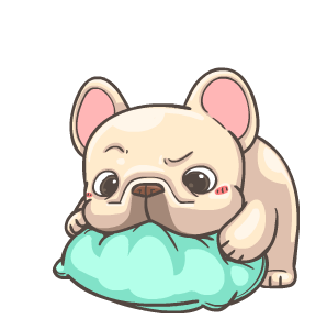 พิกุ - เฟรนช์ บูลด็อก 9 รูปที่ 18