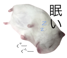 21016900