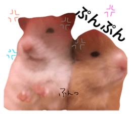 21016902