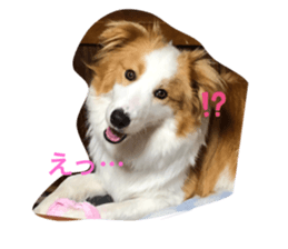 210212823