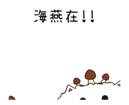 210263890