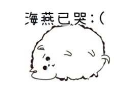 210263910