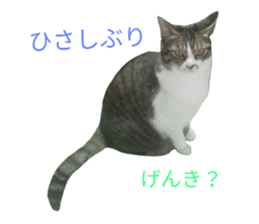 21037671
