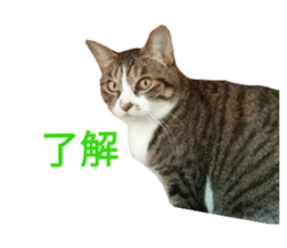 21037674