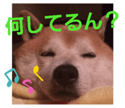 210396917