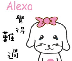 210502423