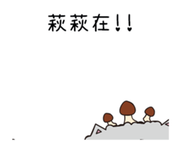 210509560