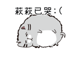 210509570