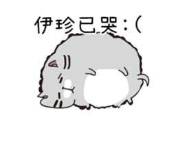 210536426