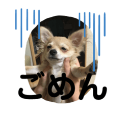 210594809