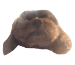 210720835