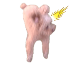 210720848