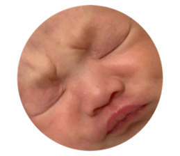 210734227