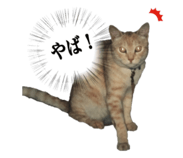 21076579
