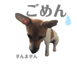 210811259
