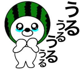 21085234