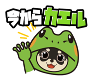 210923523