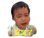 21111256