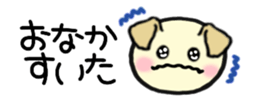 211239895