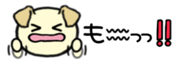 211239898