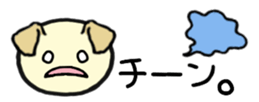 211239899