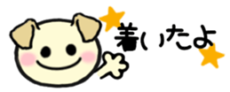 211239904