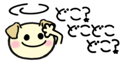 211239905