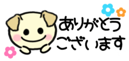 211239912