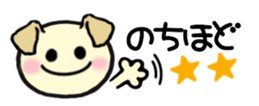 211239916