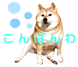 211281846