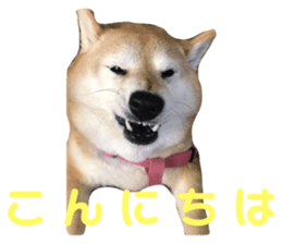 211281848
