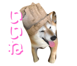 211281854