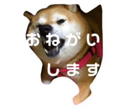 211281880